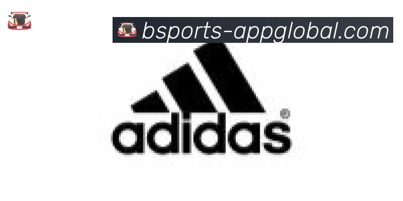 bsports体育合作伙伴